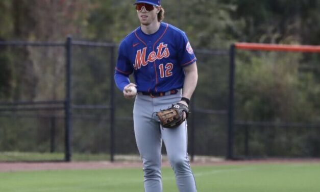 Four Mets Rank High in ZiPs Top Prospects