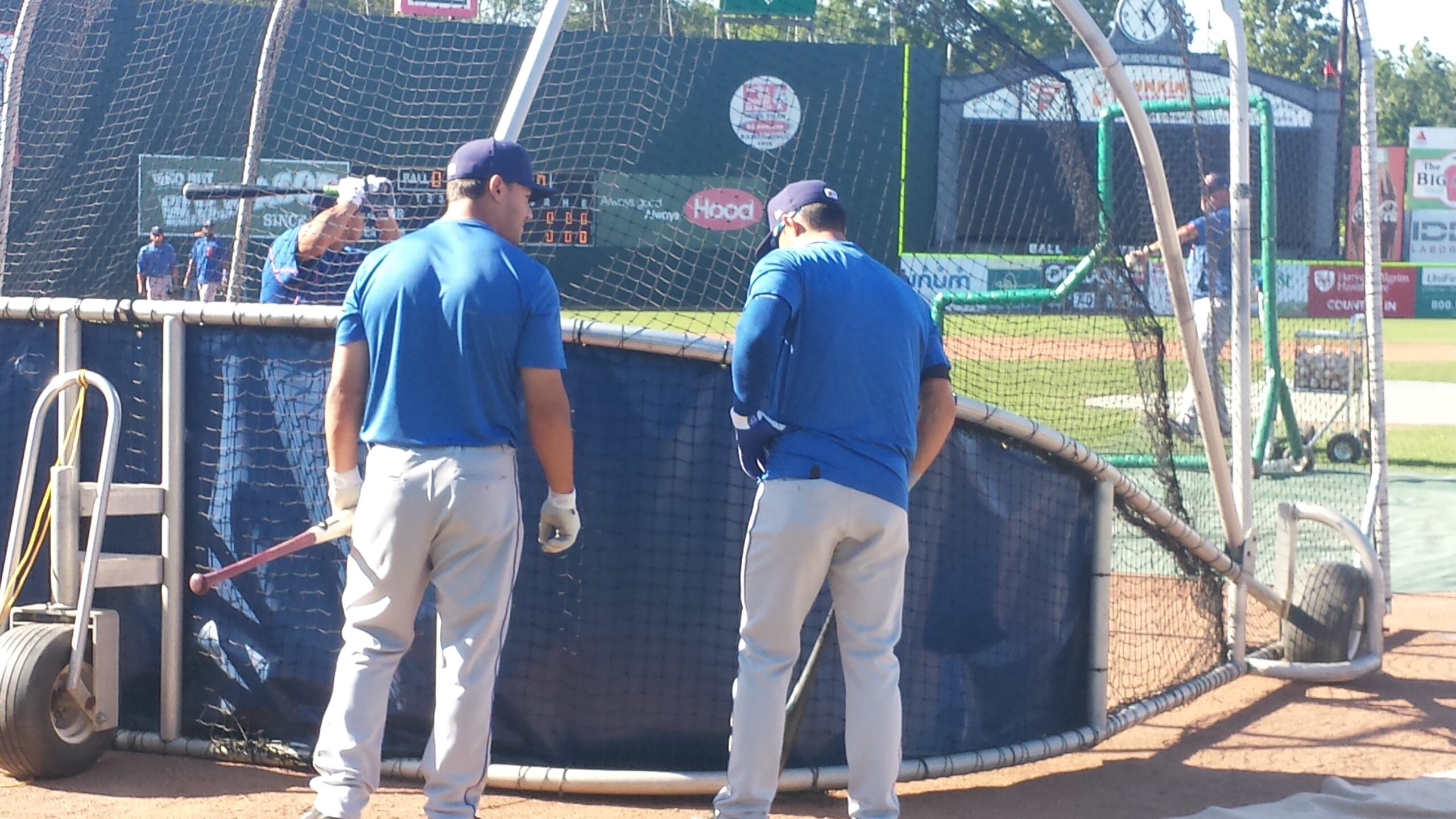 conforto and mazzilli