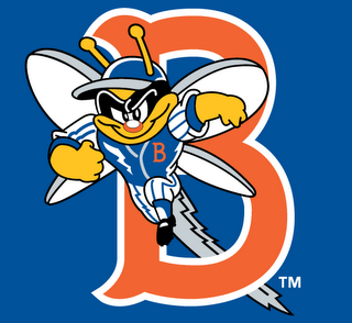 Binghamton Mets