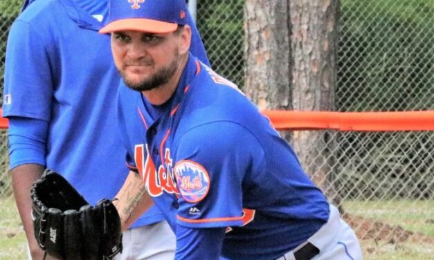 Avilan Making Mets Look Smart