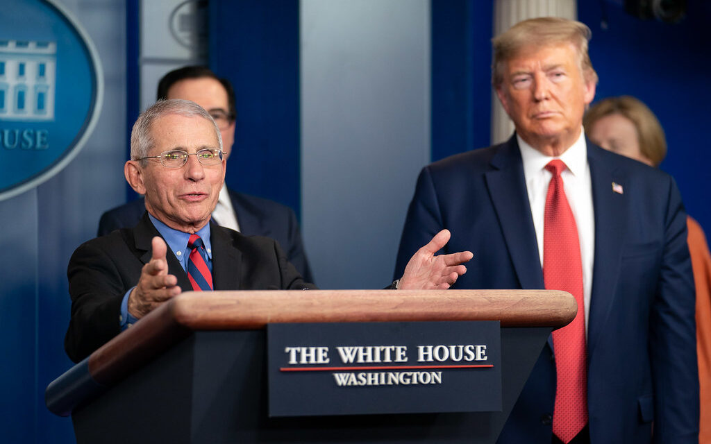 MLB News: Dr. Fauci Says Sports Can Return This Summer