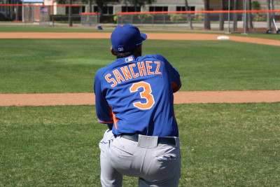 2017 Mets Top 30 Prospects: No. 14 Ali Sanchez, C