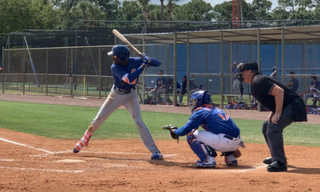 A Scout’s Look: Mets Big Leaguers and Backfielders