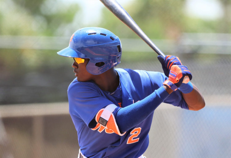 Mets Minors: 2020 Top 30 Prospects Preview