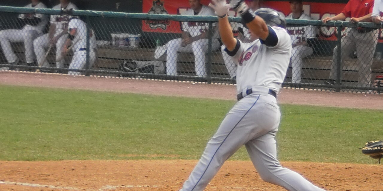 Mets Minor League Batting Leaders
