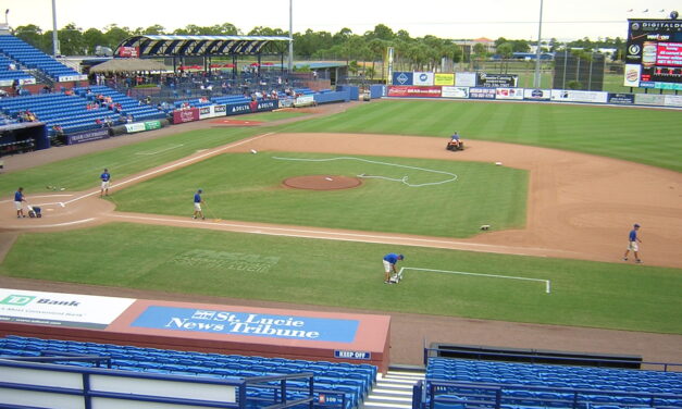 Meet The Mets….The St. Lucie Mets