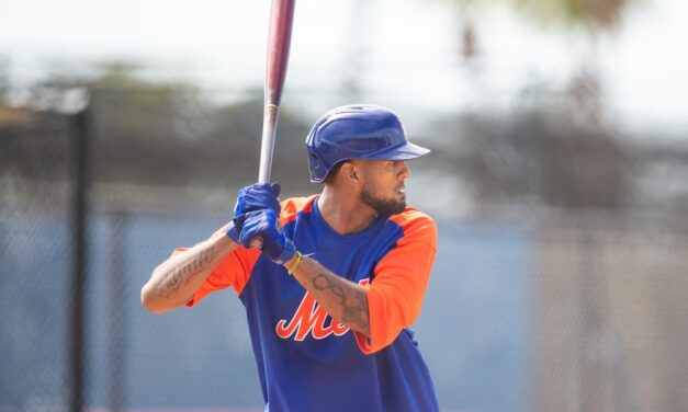 Mets Minors Recap: Jose Martinez Goes Deep Twice, Francisco Alvarez Hits 21st