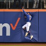 Morning Briefing: Mets Win on Tuesday For First Time This Year
