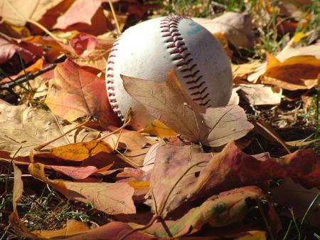 baseball autumn leaves fall