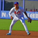 Mets Minors Recap: Mark Vientos, Ronny Mauricio Tally Multiple Hits