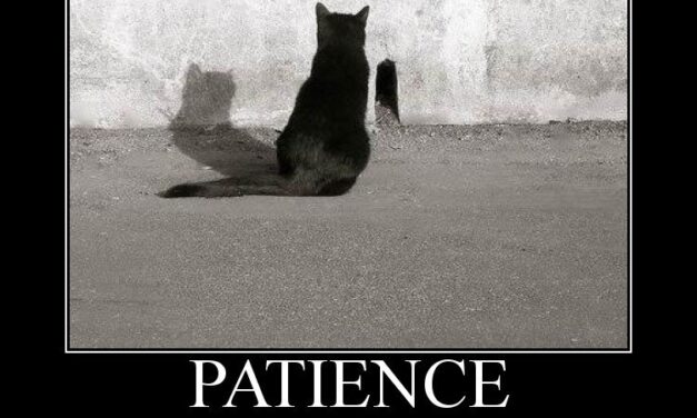 Can Someone Please Define “Patience?”
