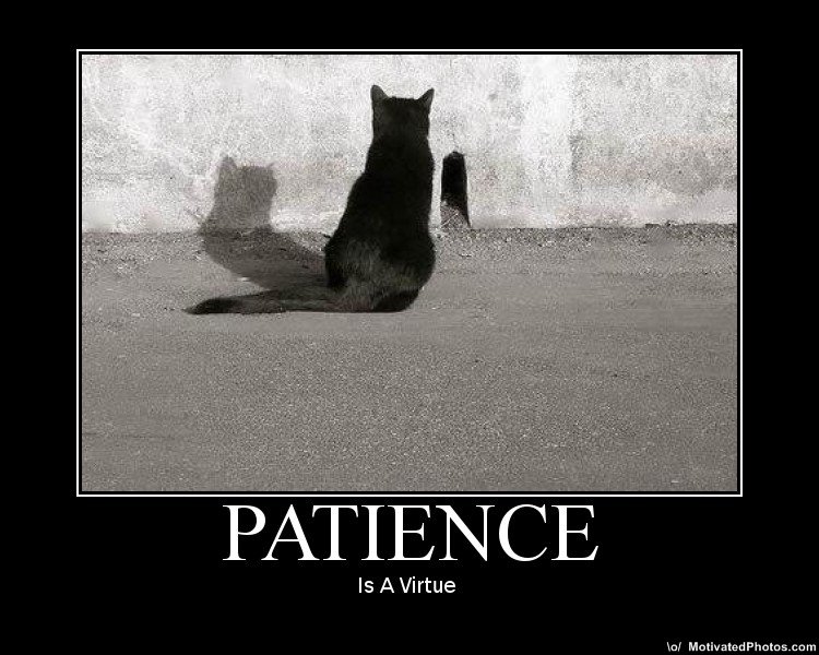Can Someone Please Define “Patience?”