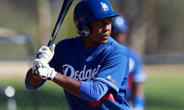 Mets Minors Recap: Carlos Rincon Hits 20th Homer of Season