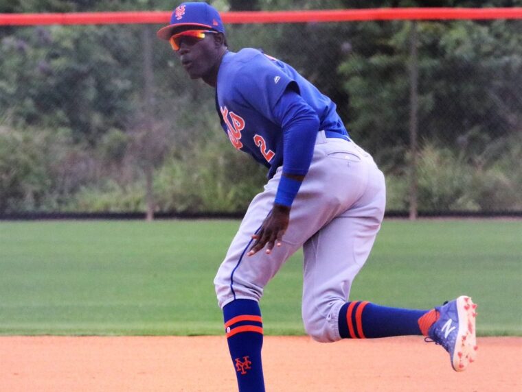 Mets Add Top Prospect Ronny Mauricio to Player Pool
