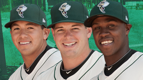 Mets Minors: Sand Gnats Release Roster, Opening Night Notes