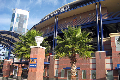 tradition field spring