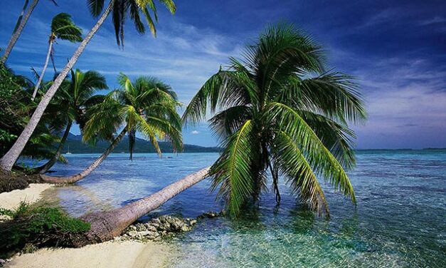 A Little Mets In The Tropics