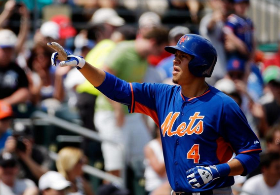 wilmer flores