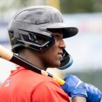 Mets Farm System Ranked 11th By MLB Pipeline, 14th By Baseball America
