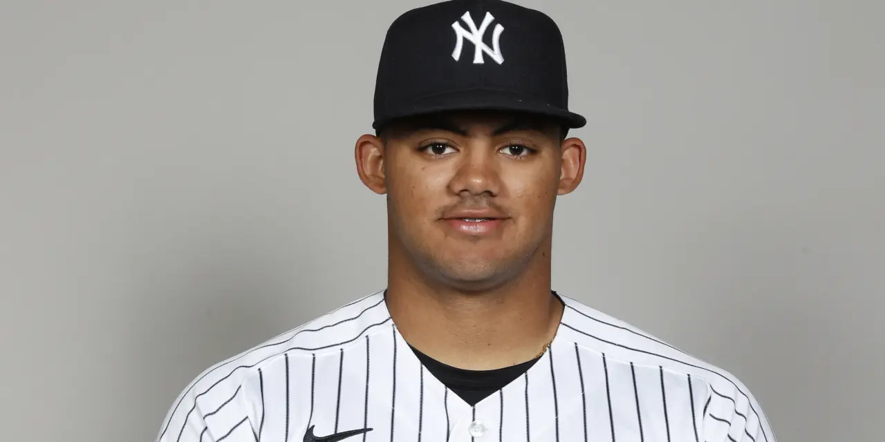 Morning Briefing: Yankees Rookie Jasson Domínguez Tears UCL