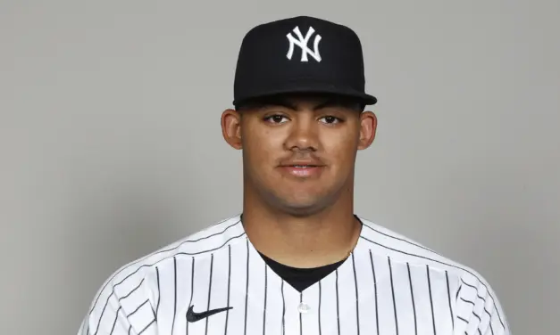 Morning Briefing: Yankees Rookie Jasson Domínguez Tears UCL