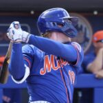 Offense Leads The Way For Mets Minor Leaguers