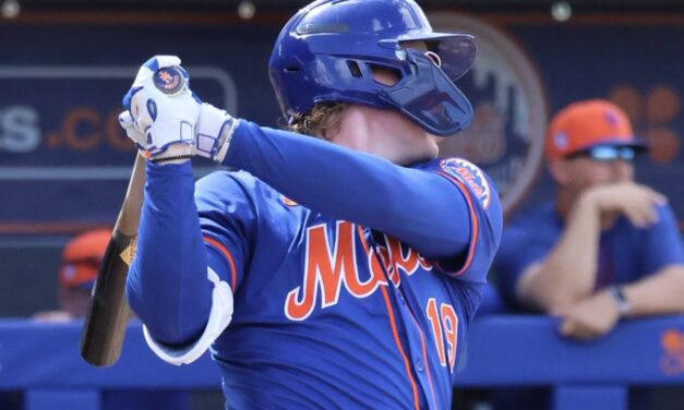 Offense Leads The Way For Mets Minor Leaguers