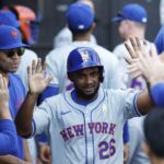 Morning Briefing: Mets Sign Pablo Reyes, Recall Devenski and Zuber