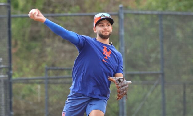 Nick Madrigal Likely Done for Season