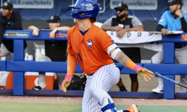 Mets 2025 Prospects: No. 16 Trey Synder