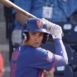 Arizona Fall League: Hitter Preview