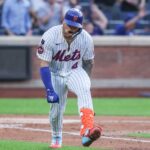 Francisco Alvarez is ‘The Iron Troll’