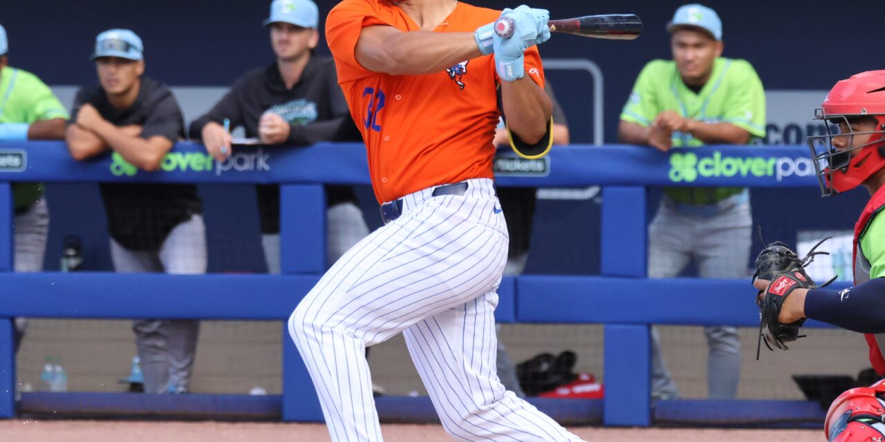 Mitch Voit Hits Game Winning Homer for Brooklyn