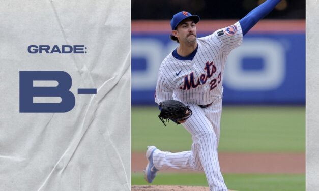 2025 Report Card: David Peterson, SP