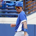 MMO from Port St. Lucie: A World Baseball Classic Team Appears!