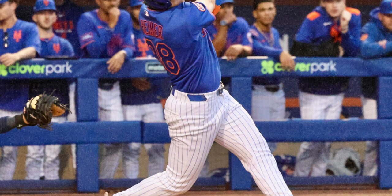 Mets Minors Recap: Watson Strikes Out Six, Reimer Bangs Out Four Hits