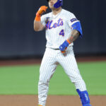 Alvarez Activated from IL, Senga Shut Down with New Injury