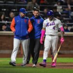 Francisco Alvarez Injures Knee; Will Receive Imaging