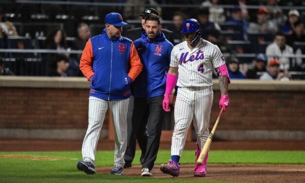 Francisco Alvarez Injures Knee; Will Receive Imaging